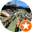 Scott D. profile picture