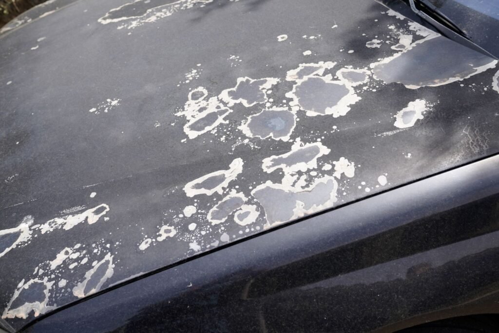 Vehicle Hail Damage Repair